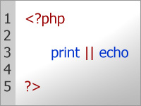 print ��� echo?